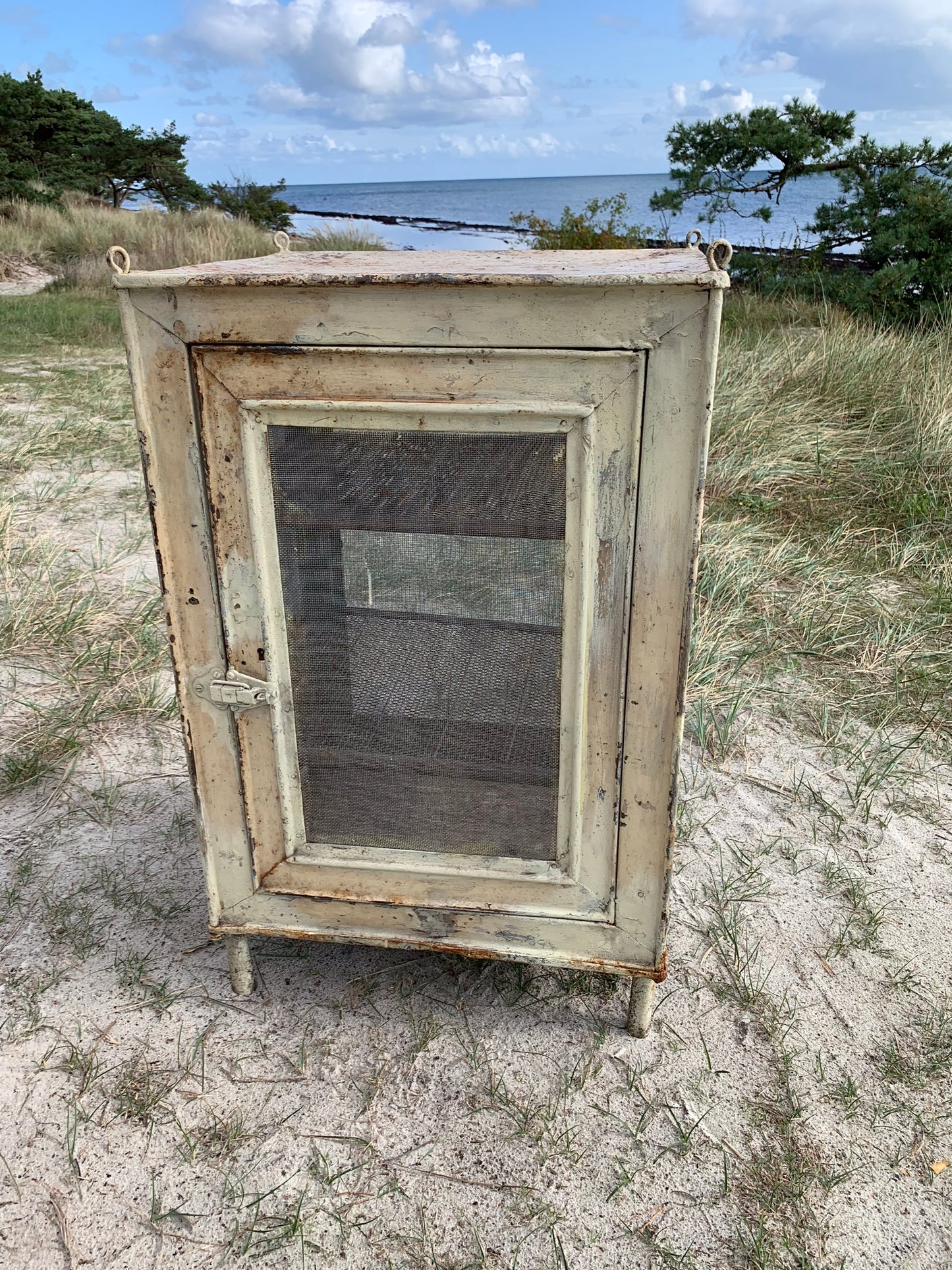 Skønt Flueskab med ben og hylder