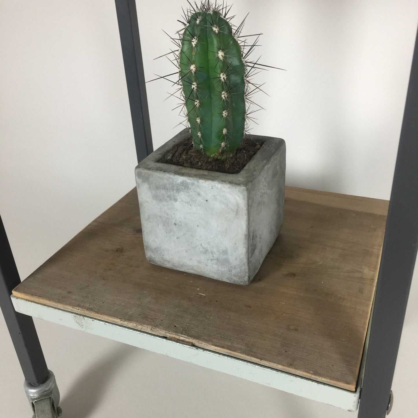 Rulle eller barbord
