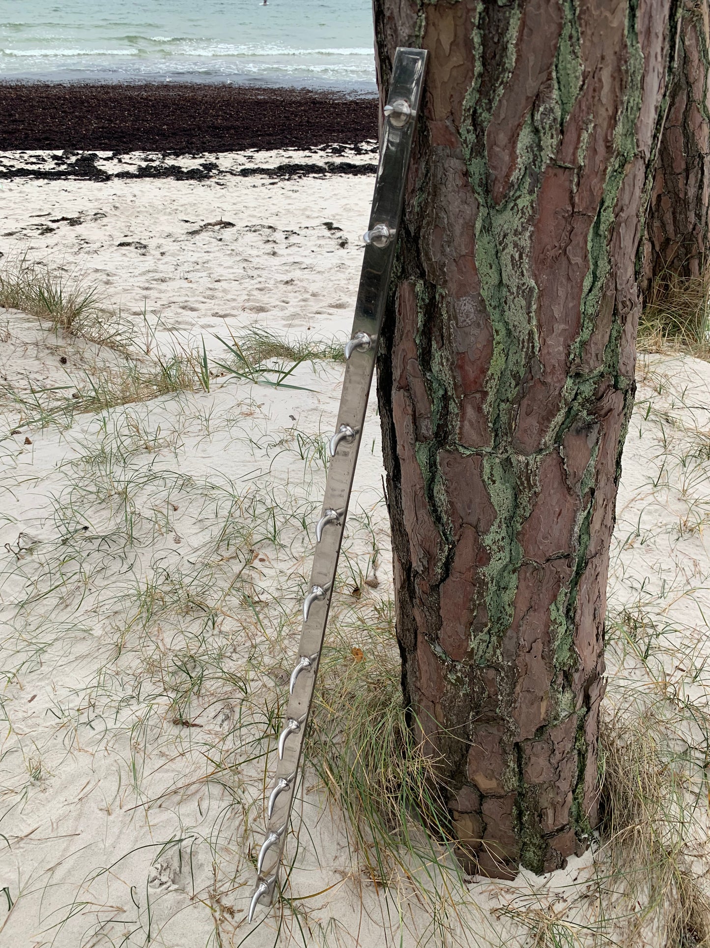 Fransk slagterknage