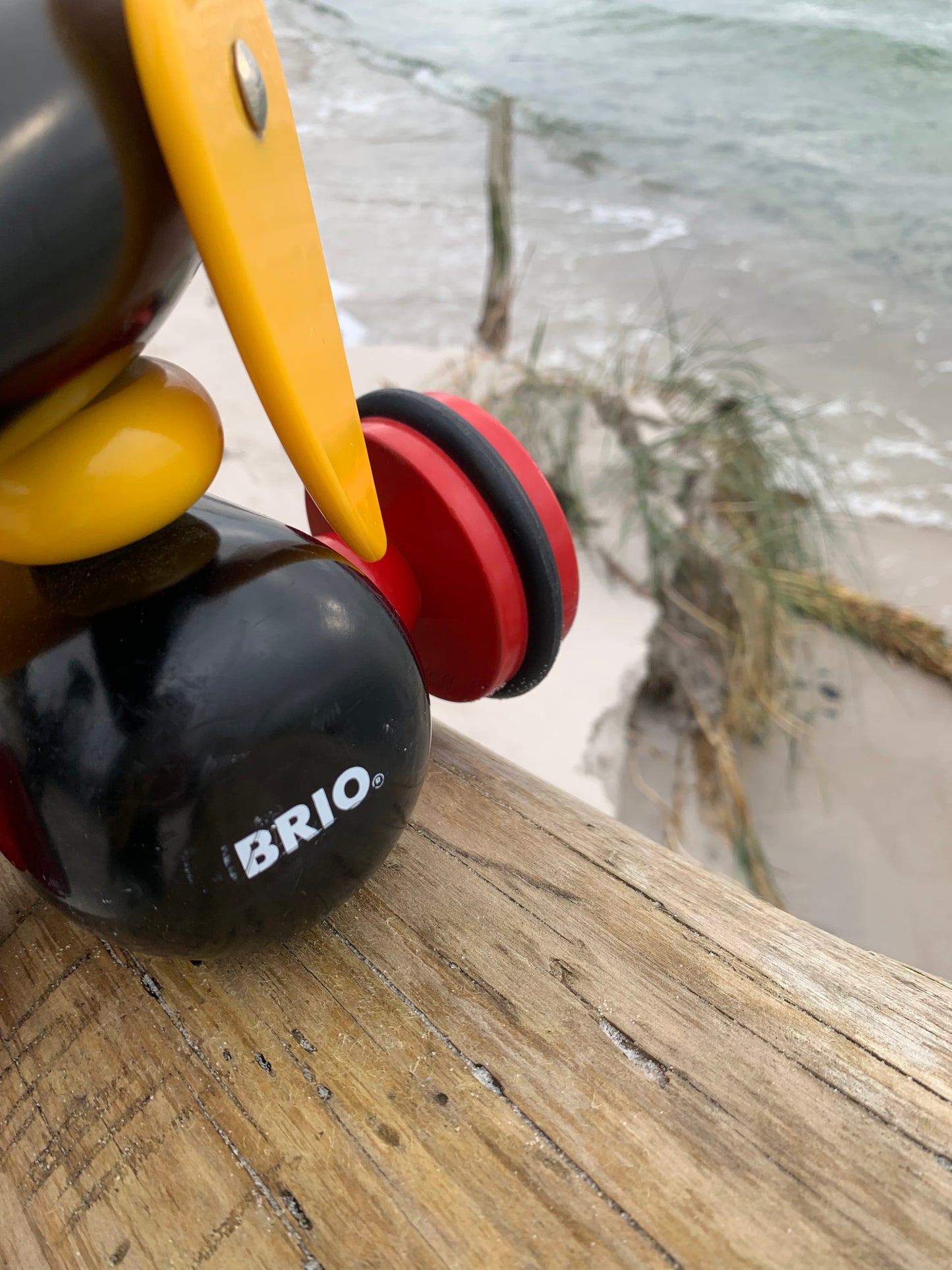 Brio hund - Stor udgave