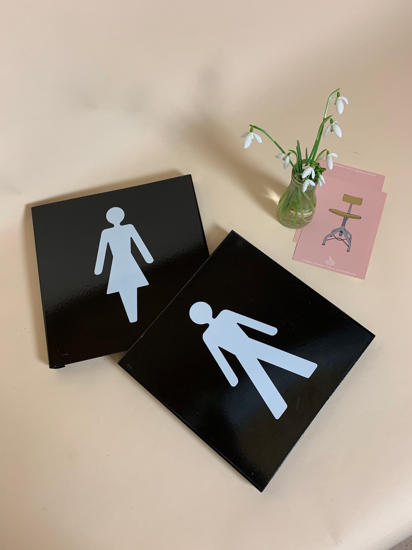 Sæt med skilte piktogrammer til henholdsvis damer og herrer