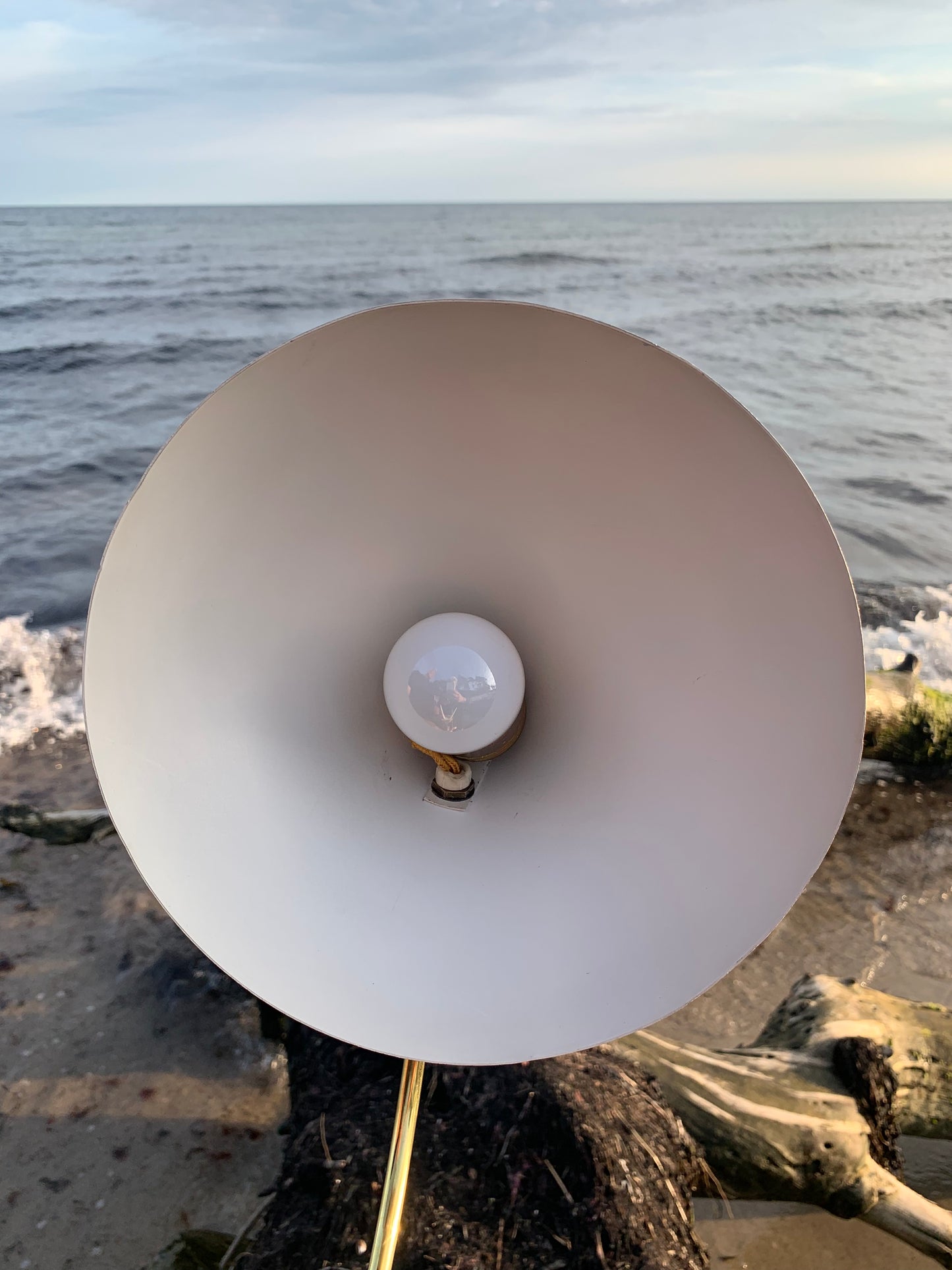 Cosack Crowfoot - Cremefarvet