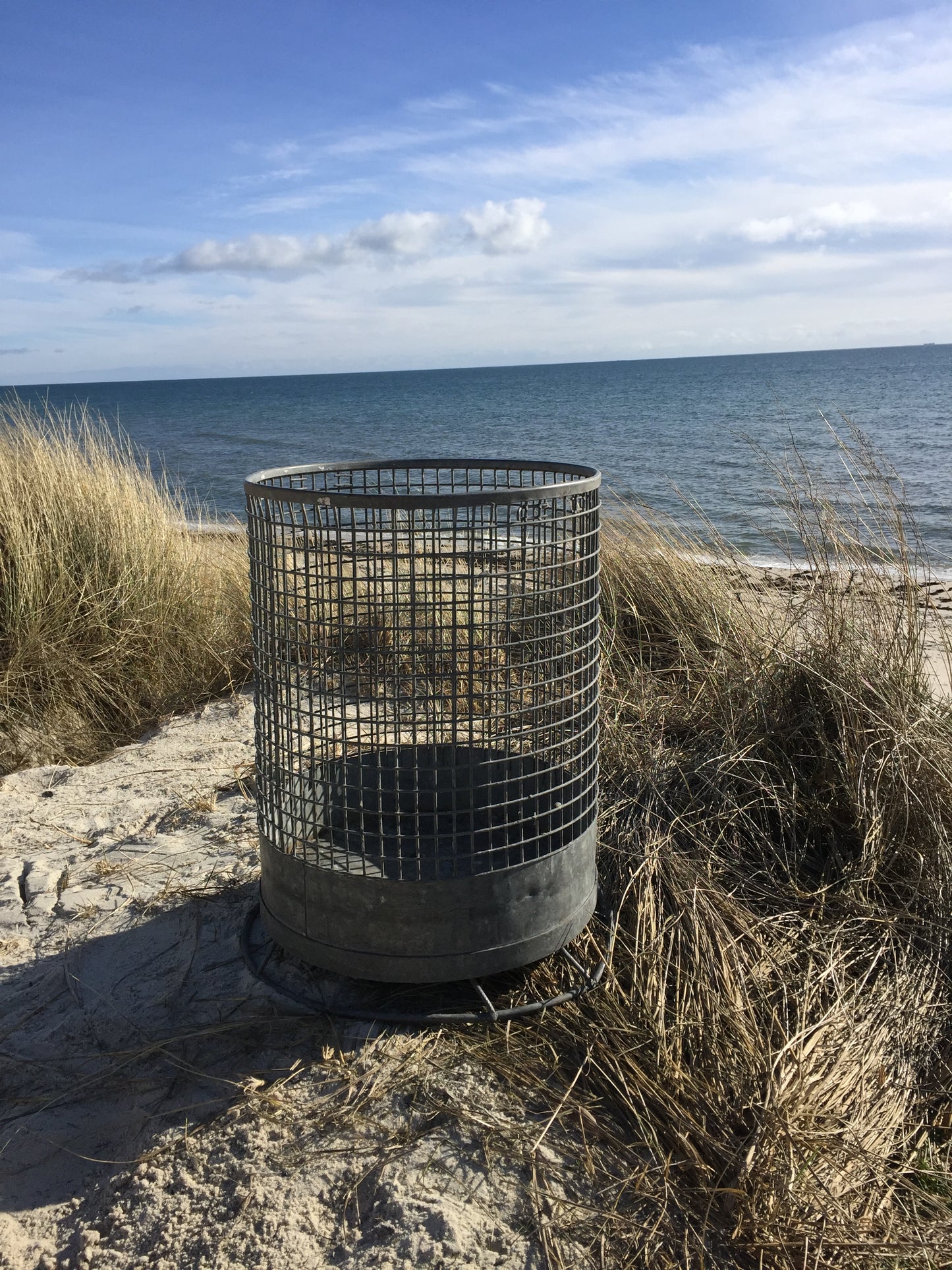 Stor skøn rå og rund