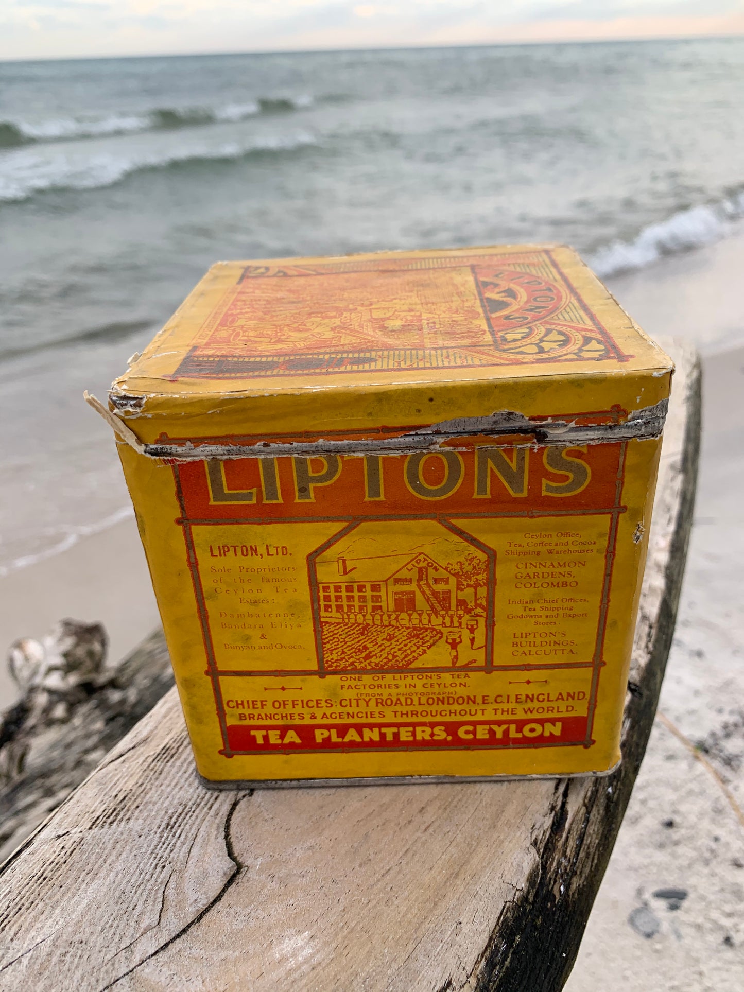 Lipton tea dåse