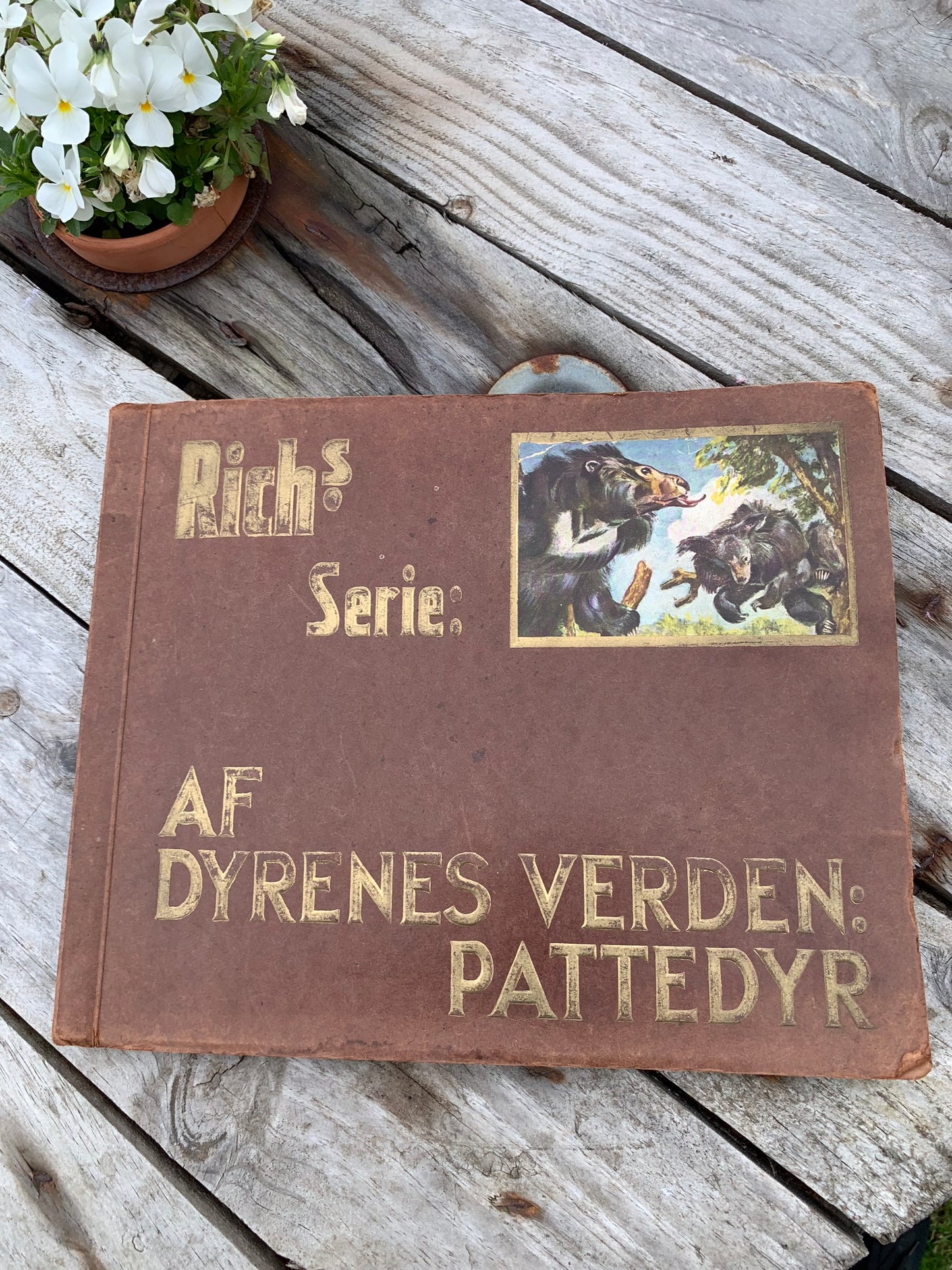 Rich’s samlealbum fra dyrenes verden (pattedyr)
