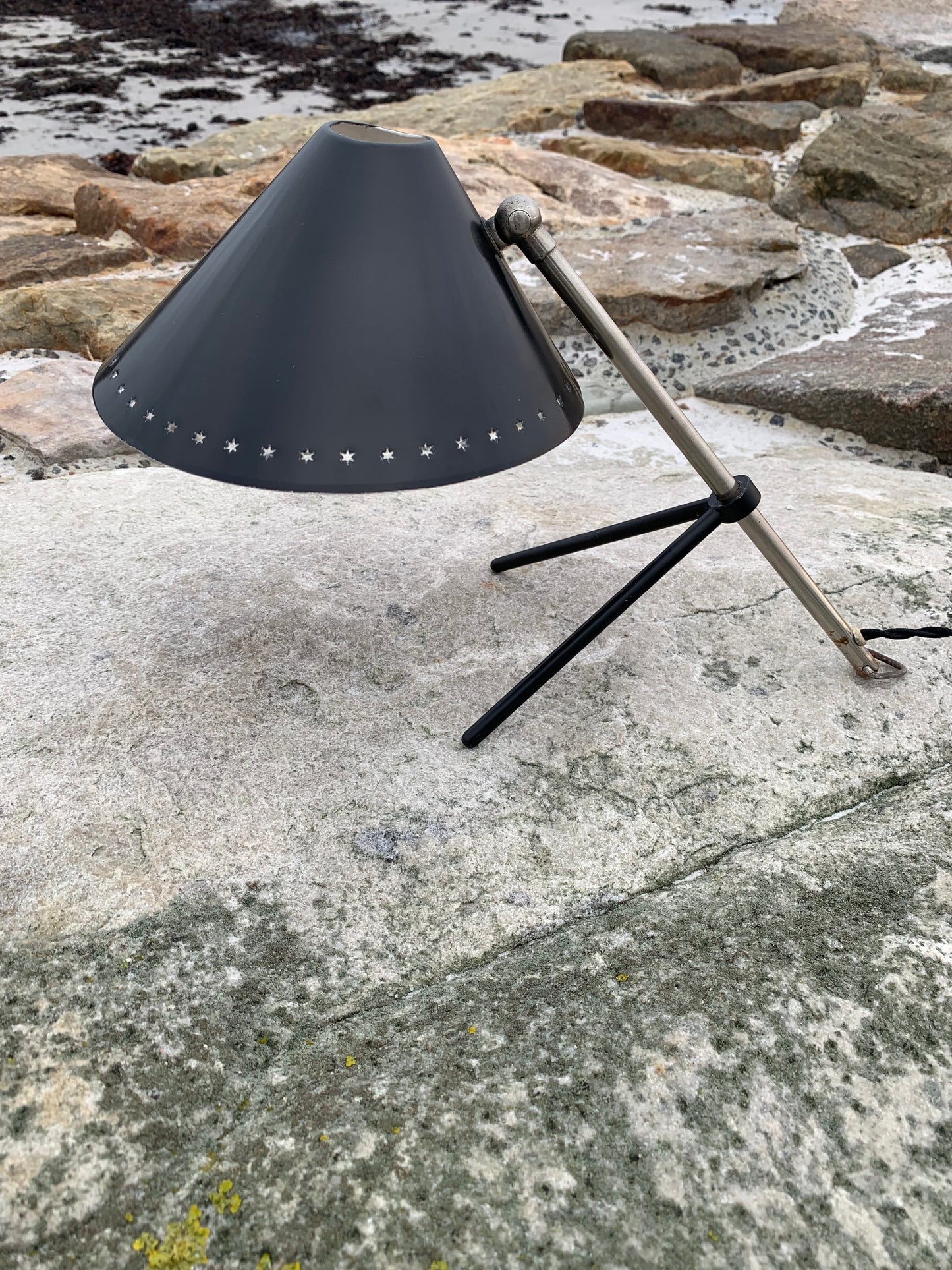 Hala Zeist Pinocchio - Original sort