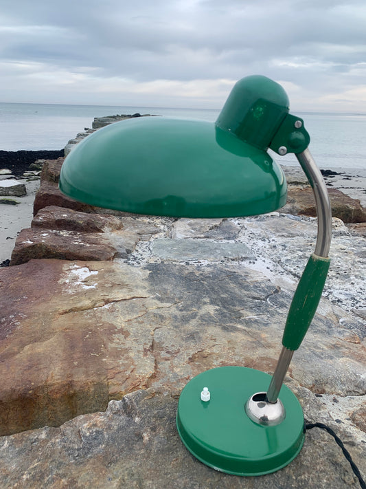 Koranda - Original grøn