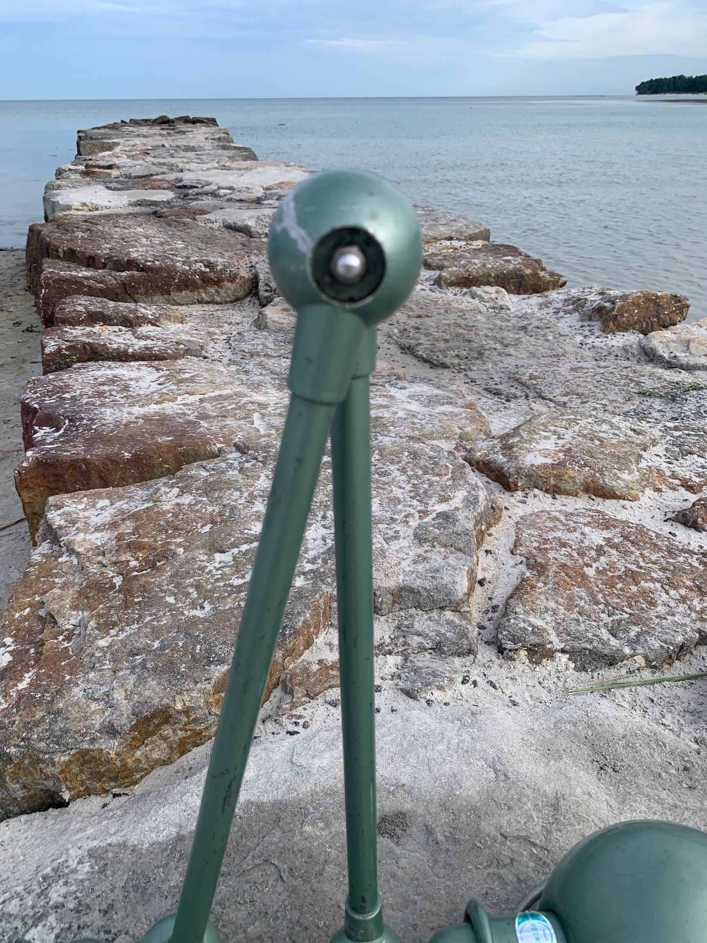 Jieldé væg/loft lampe med to arme - Grøn