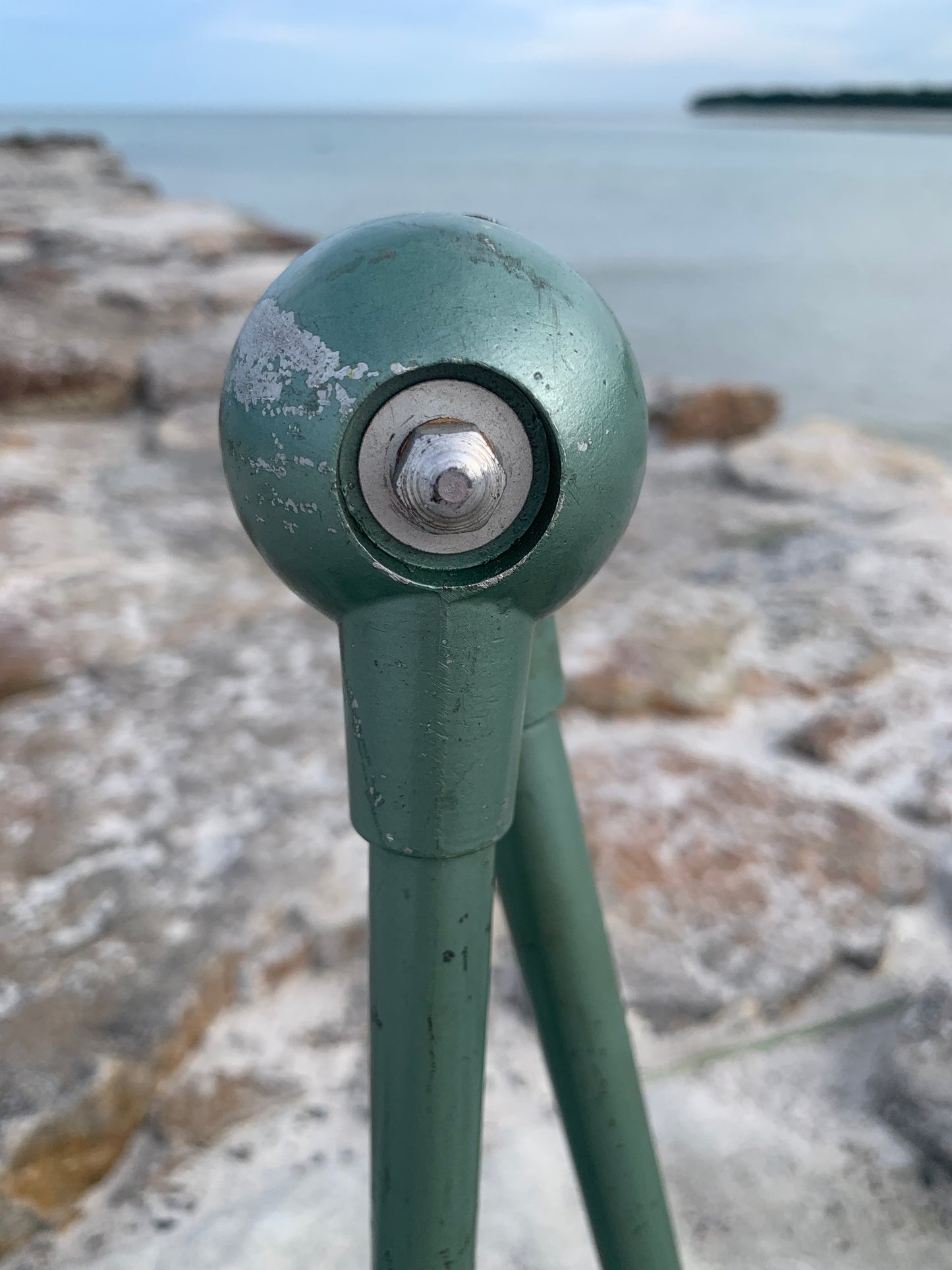 Jieldé væg/loft lampe med to arme - Grøn