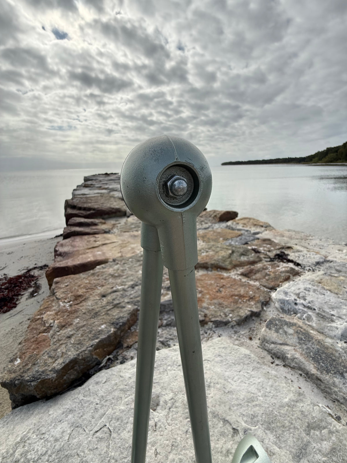 Jieldé væg/loft lampe med 2 arme - Grøn