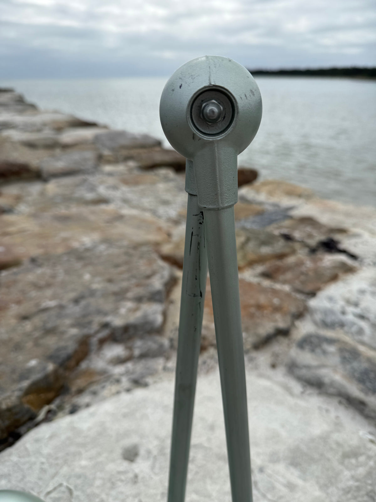 Jieldé væg/loft med 2 arme - Grøn