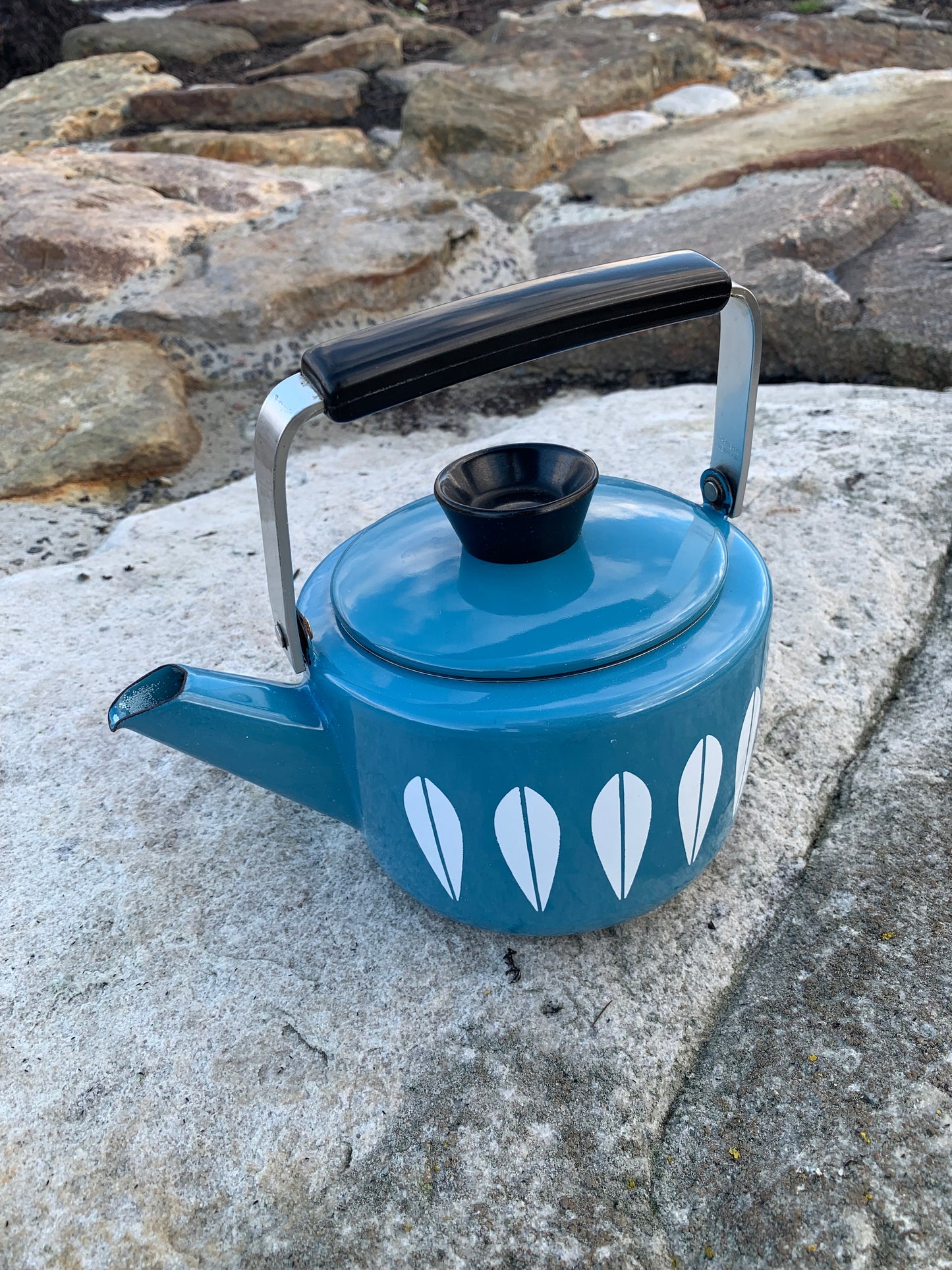 Cathrineholm Lotus emalje kedel