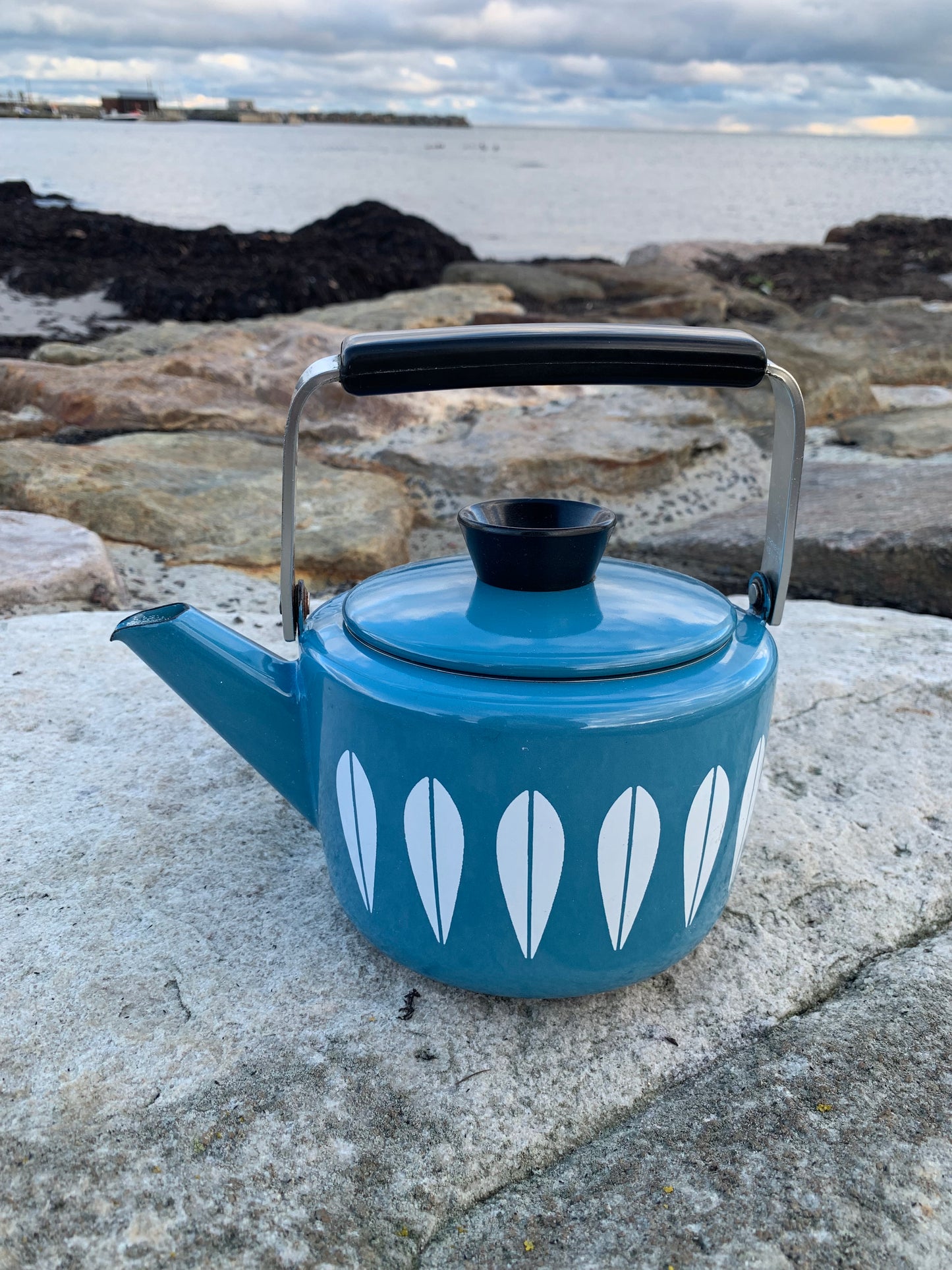 Cathrineholm Lotus emalje kedel