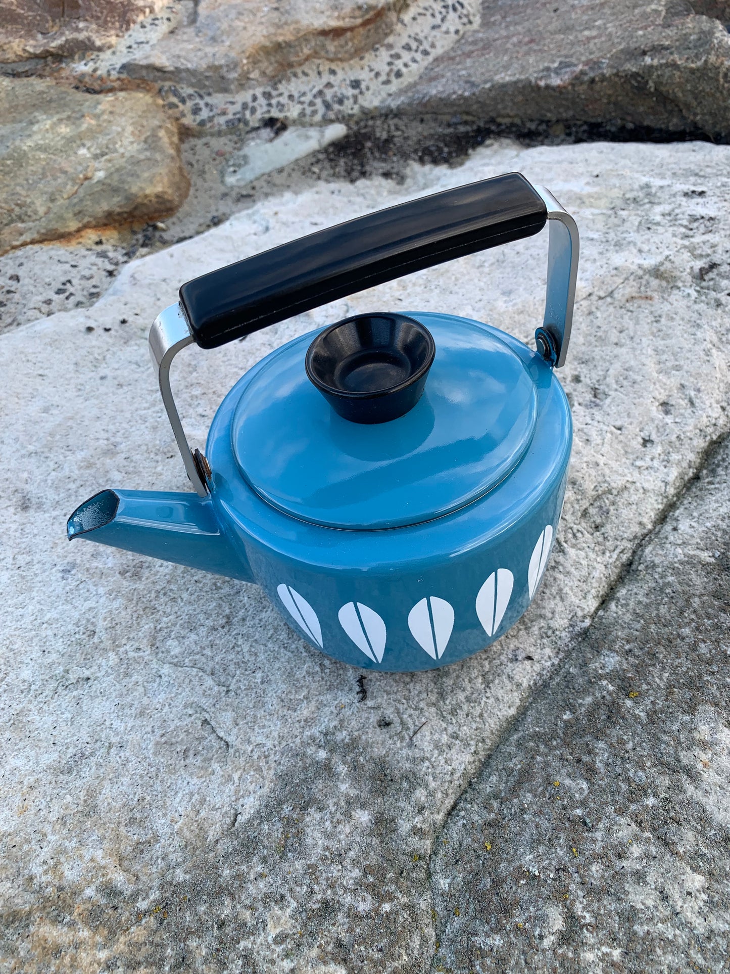 Cathrineholm Lotus emalje kedel