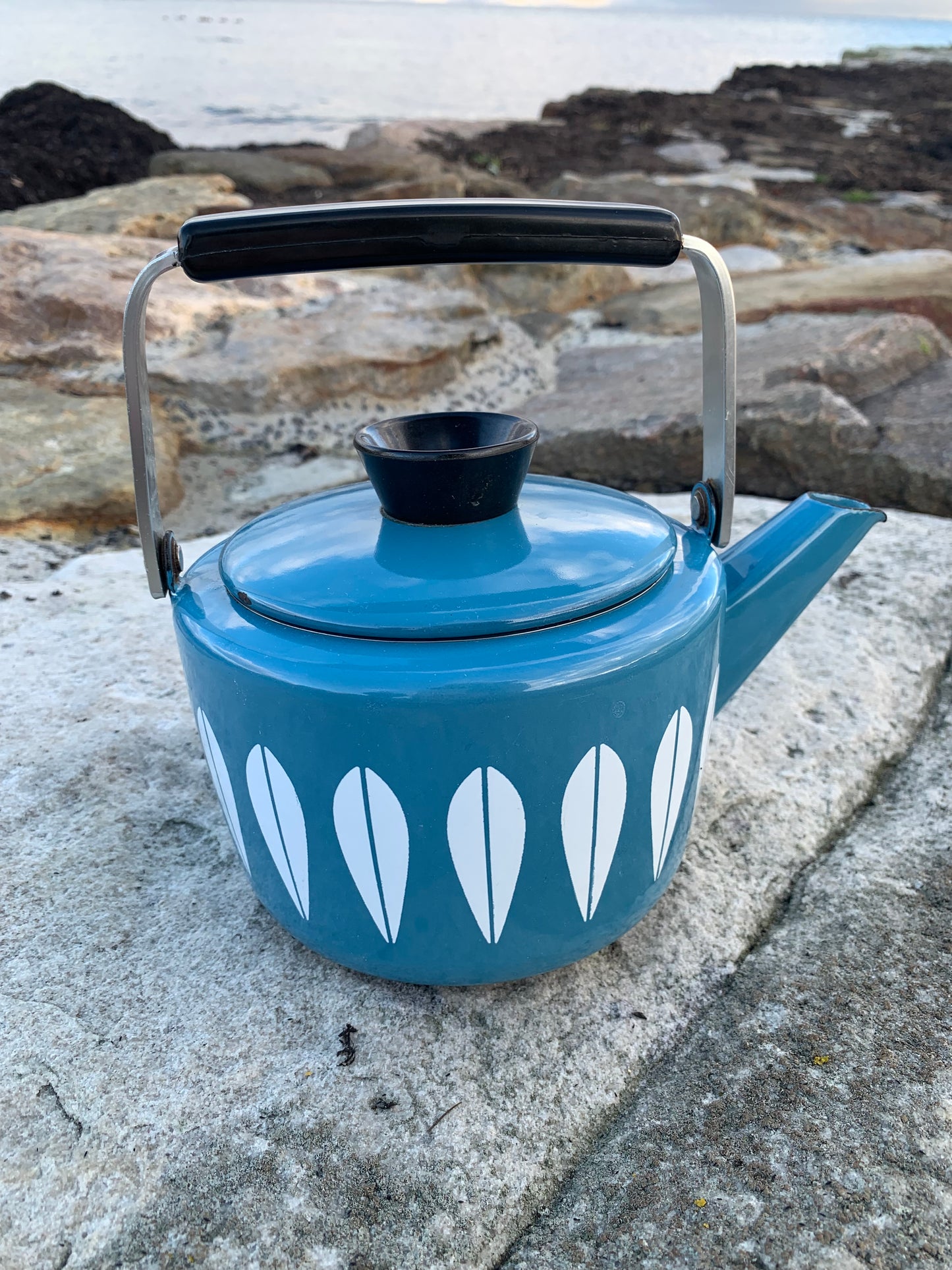 Cathrineholm Lotus emalje kedel