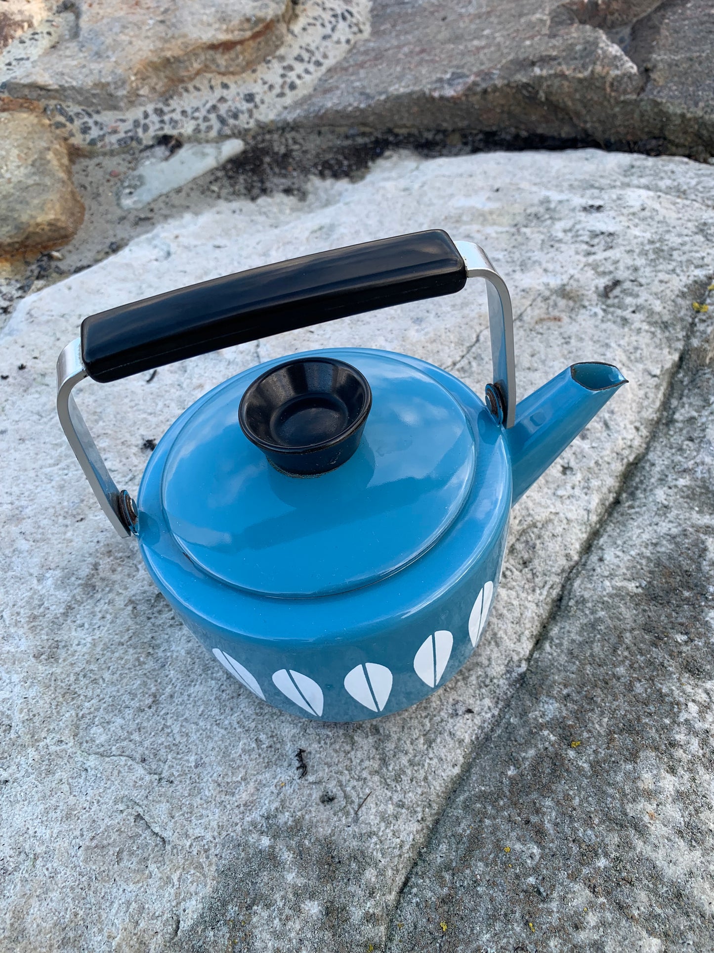 Cathrineholm Lotus emalje kedel