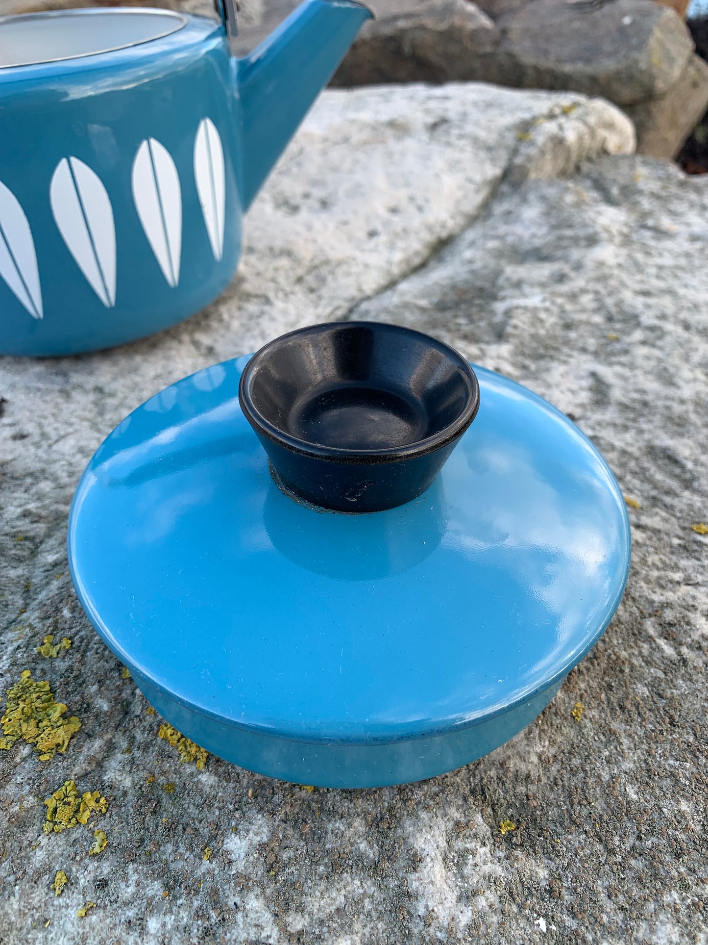 Cathrineholm Lotus emalje kedel