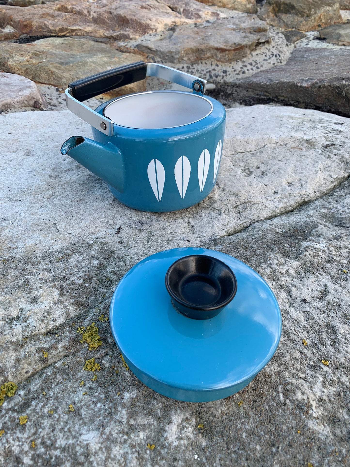 Cathrineholm Lotus emalje kedel