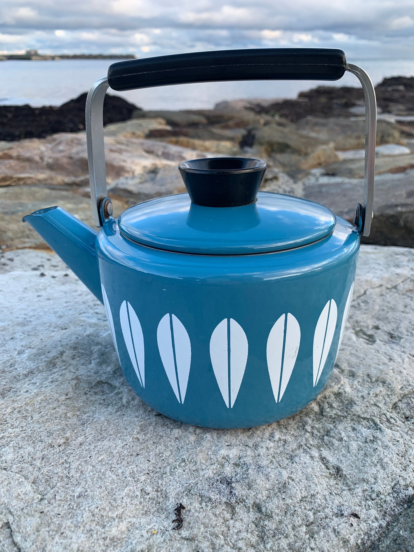 Cathrineholm Lotus emalje kedel