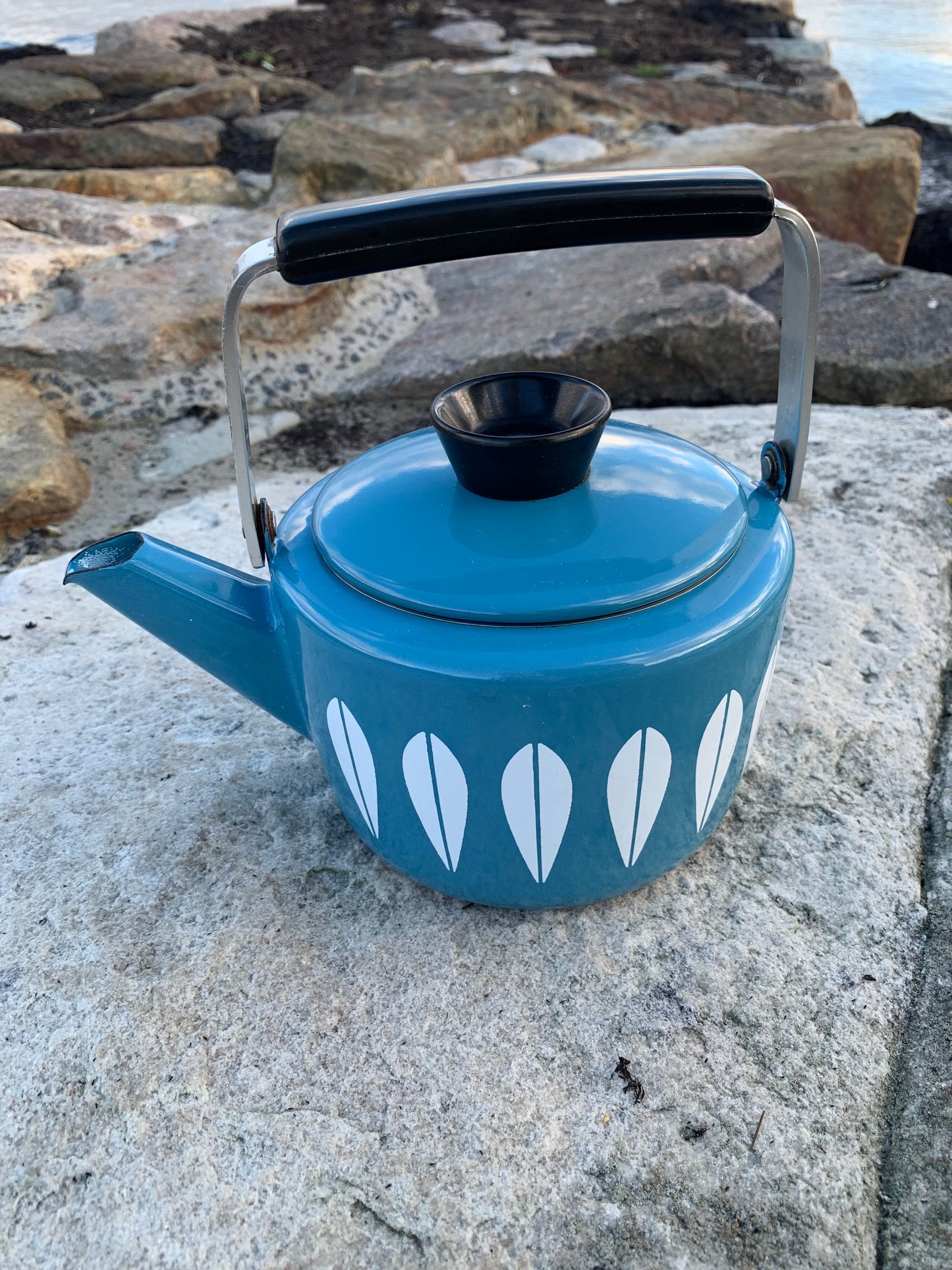 Cathrineholm Lotus emalje kedel