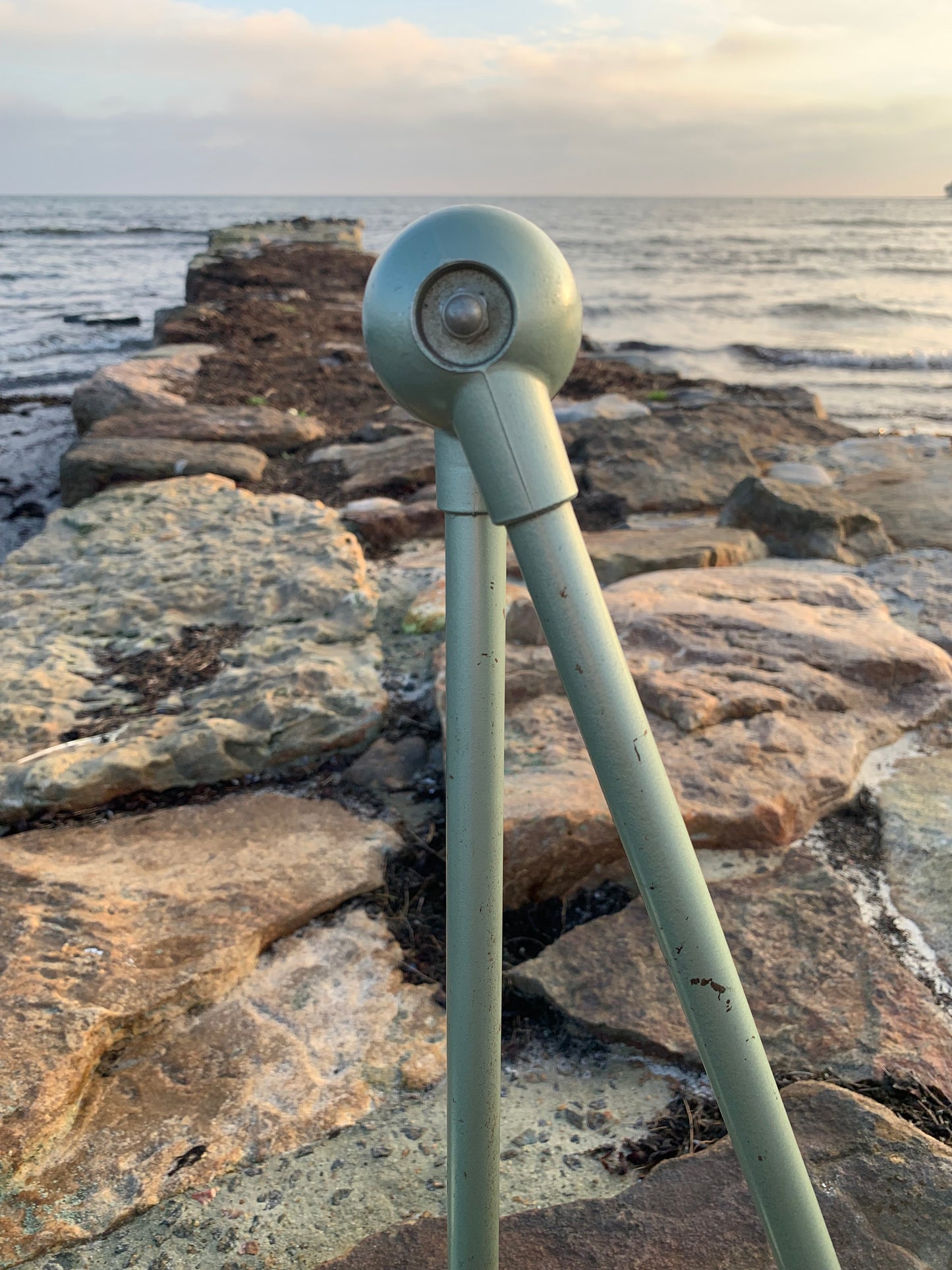 Jieldé væg/loftlampe med to arme - Grøn