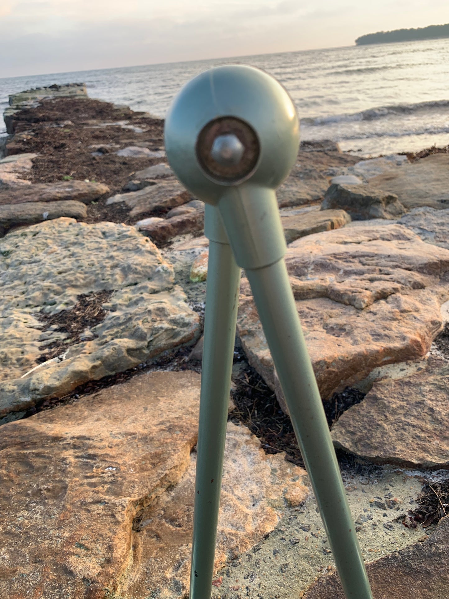 Jieldé væg/loftlampe med to arme - Grøn