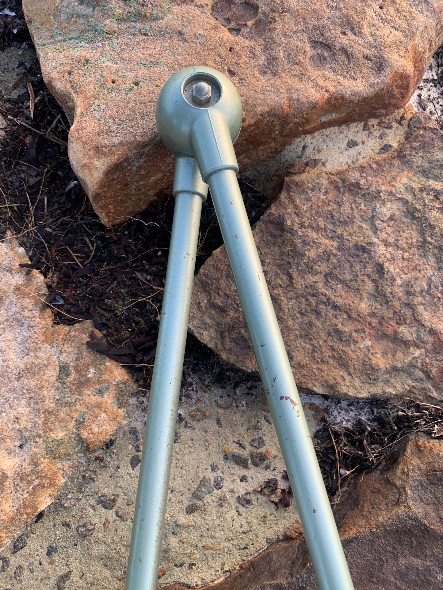 Jieldé væg/loftlampe med to arme - Grøn