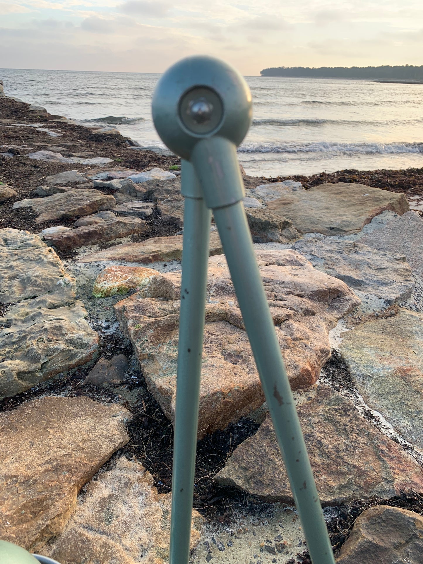 Jieldé væg/loftlampe med to arme - Grøn