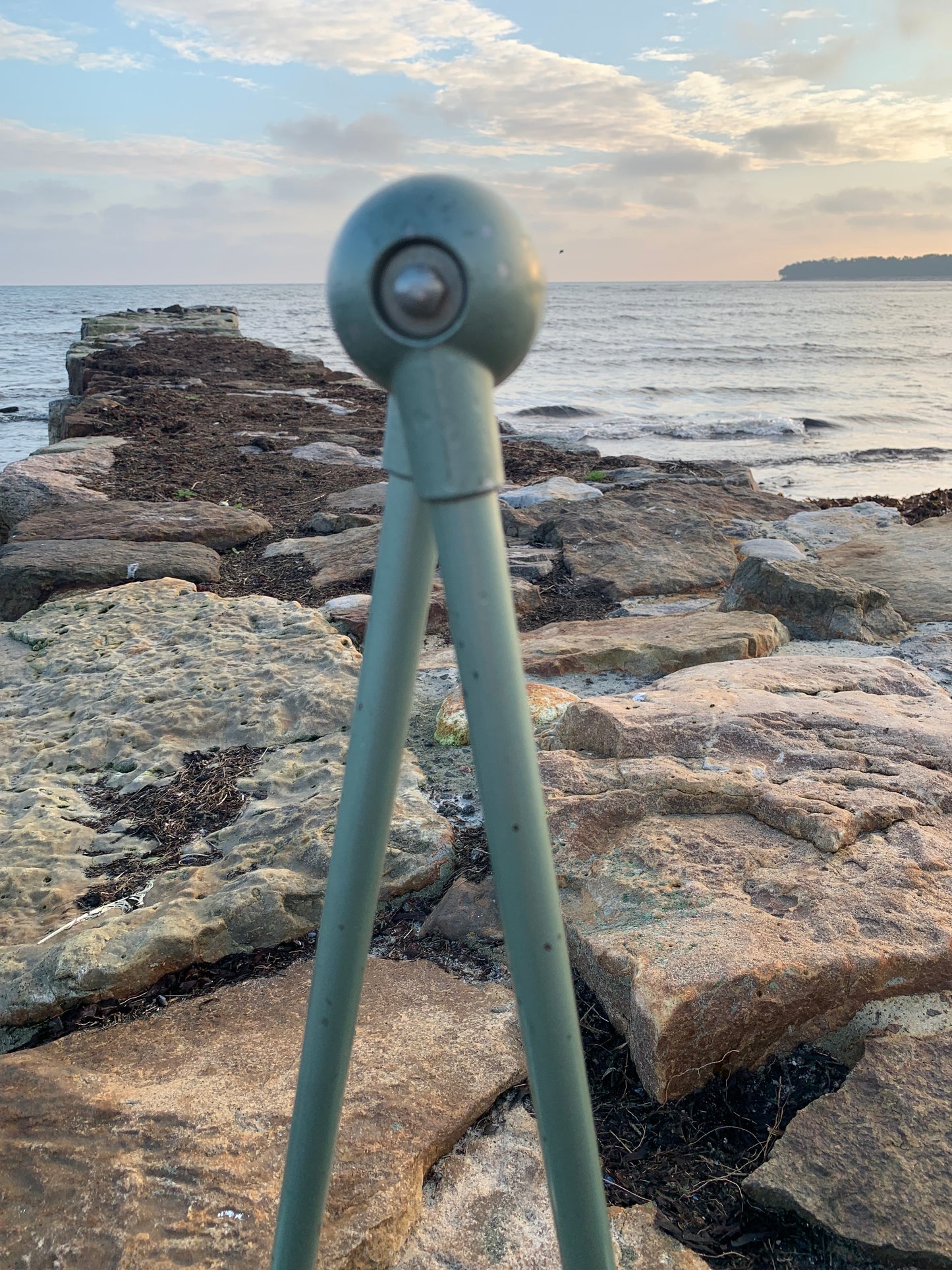 Jieldé væg/loftlampe med to arme - Grøn