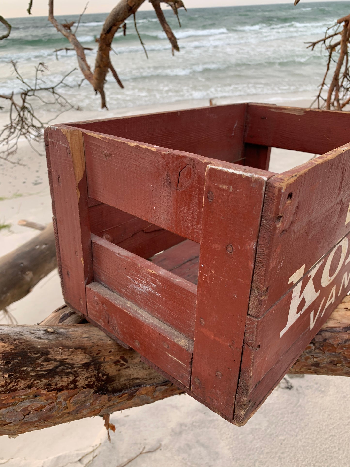 Faxe Koral kasse