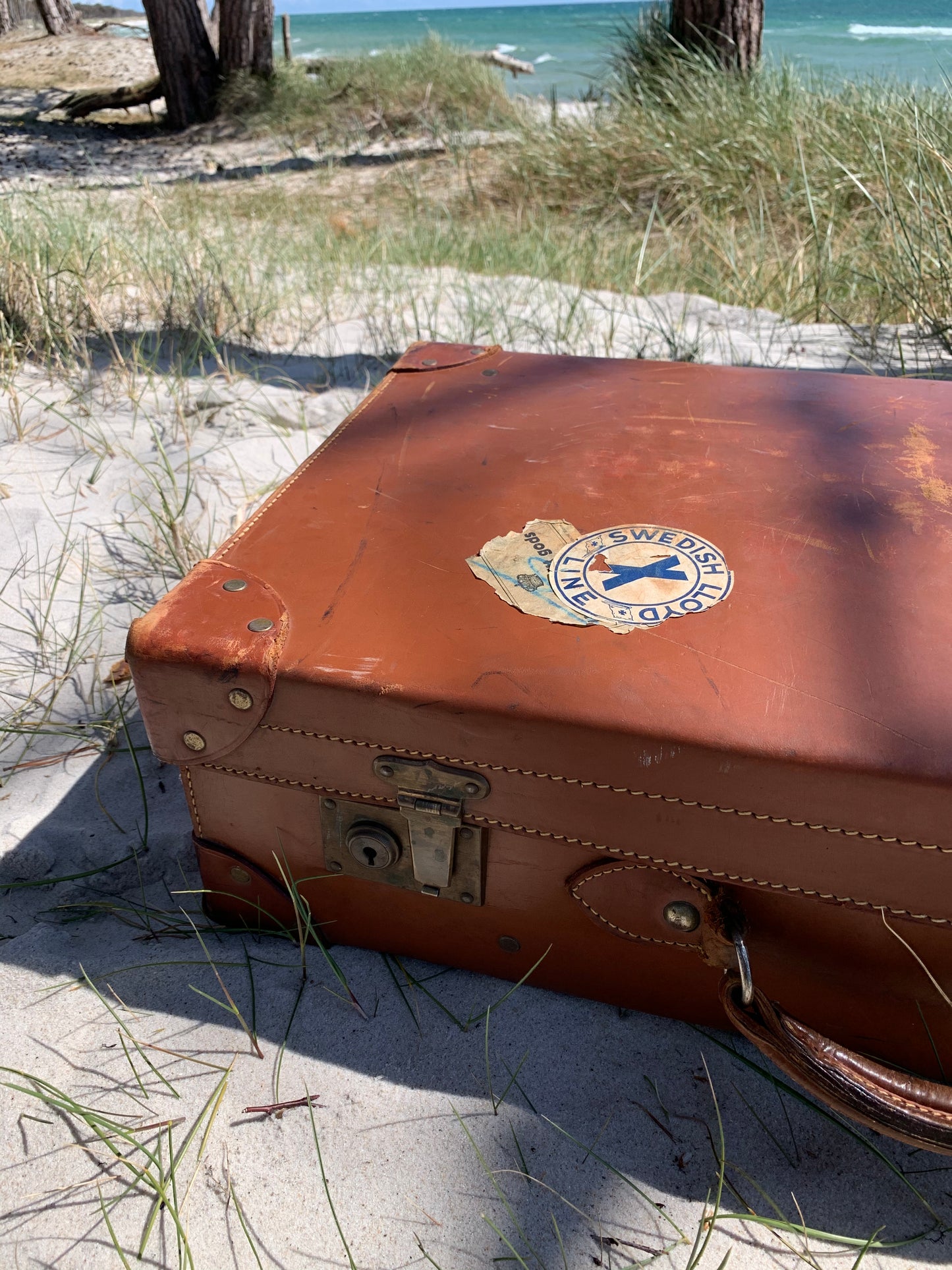 Stor brun dekorativ kuffert i læder