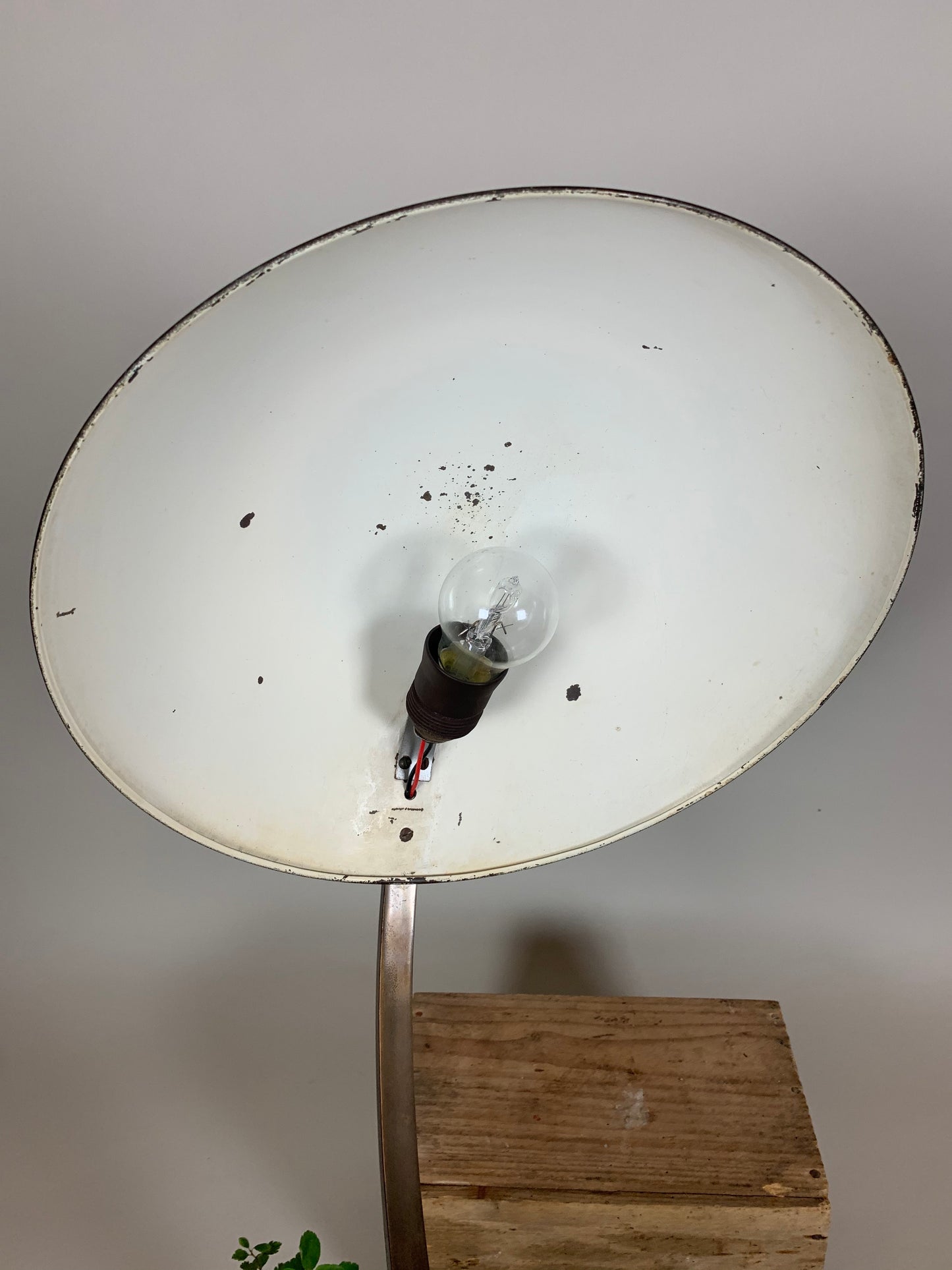 Escolux bordlampe i mørkpoleret messing